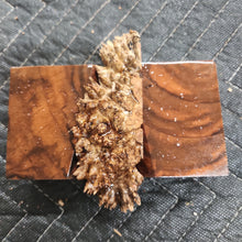 Casting Chechen burl