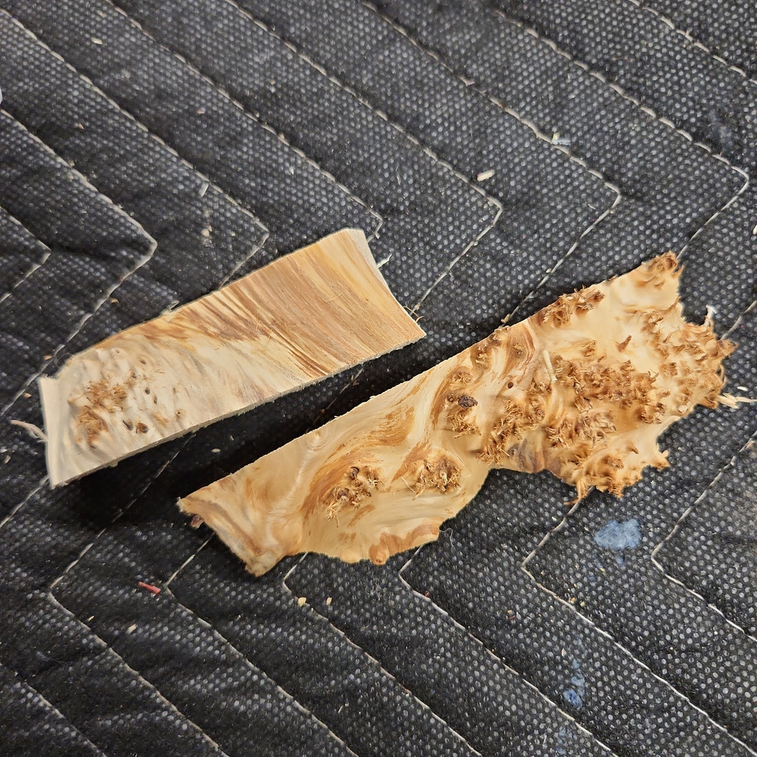 Casting yellow cedar burl