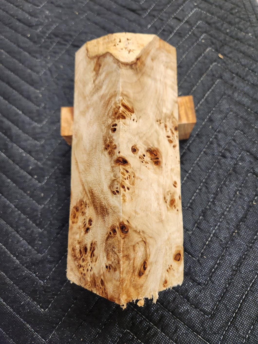 Poplar burl