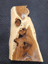 Russian olive burl slab