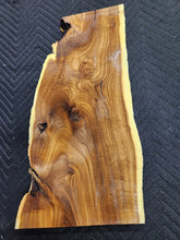 Russian olive burl slab