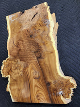 Russian olive burl slab