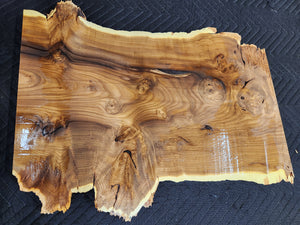 Russian olive burl slab