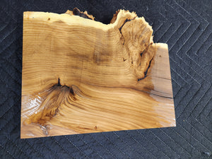 Russian olive burl slab