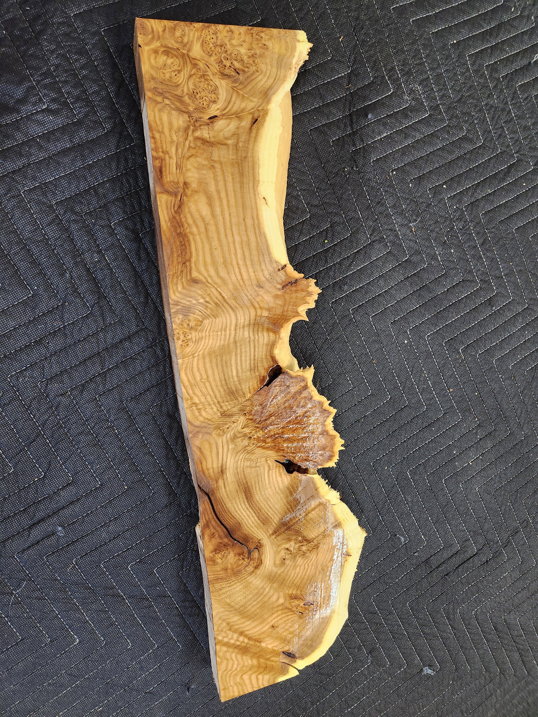 Russian olive burl slab