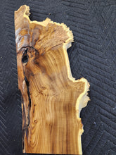 Russian olive burl slab