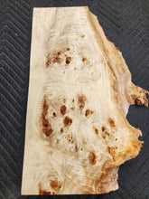 Poplar burl slab