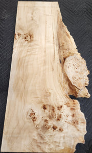 Poplar burl slab