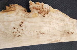 Poplar burl slab