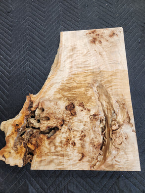 Poplar burl slab