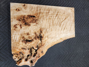 Poplar burl slab