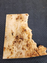 Poplar burl slab