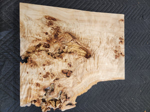 Poplar burl slab