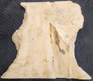 Box elder burl slab