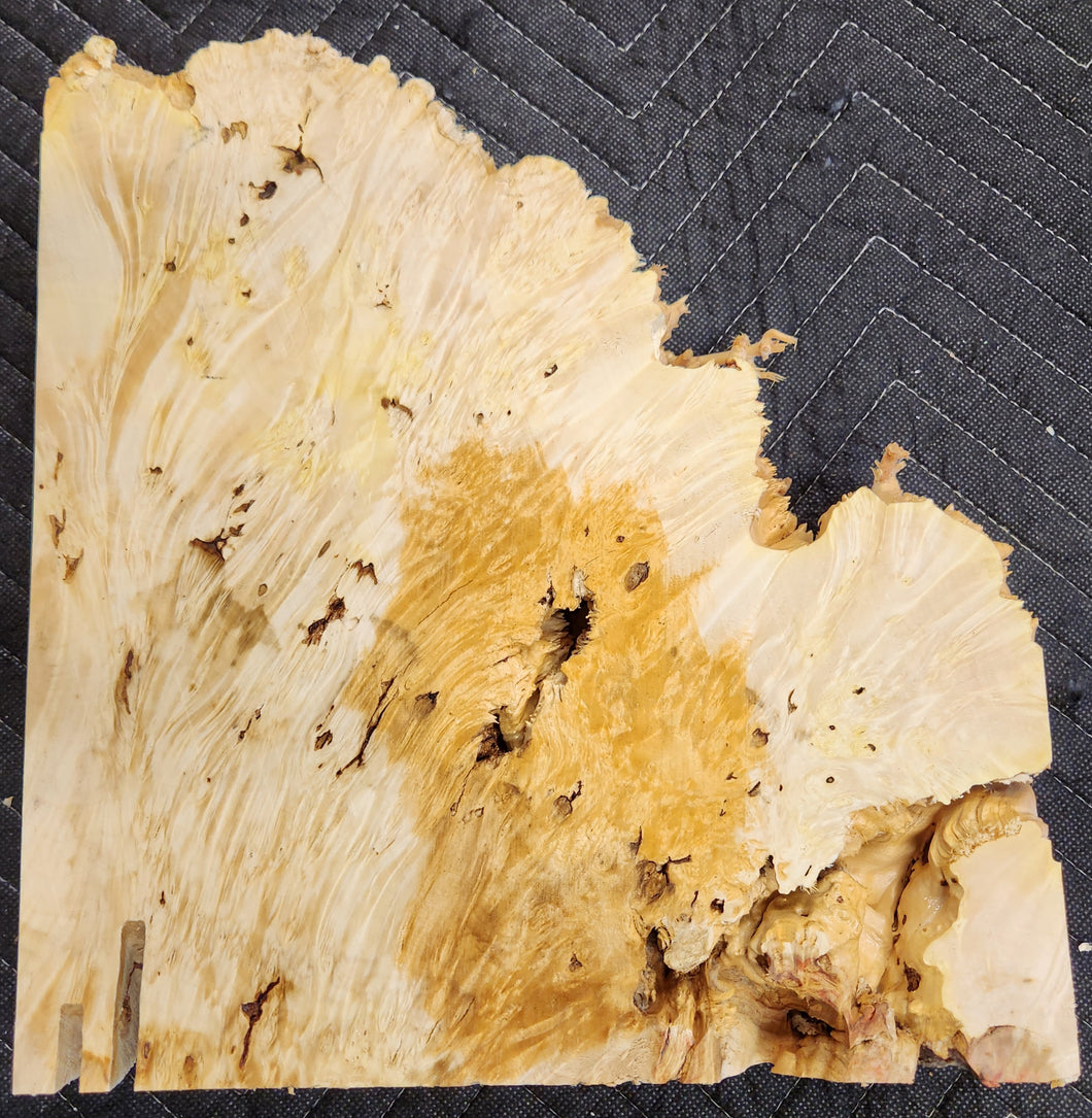 Box elder burl slab