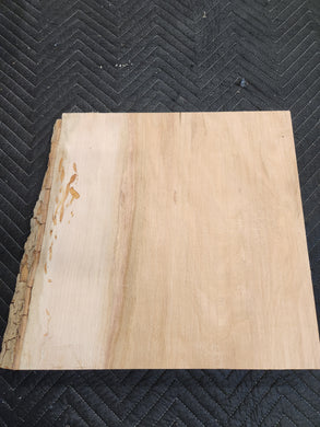 Sycamore slab