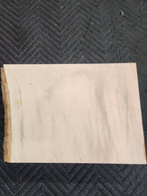 Sycamore slab