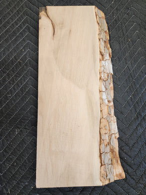 Sycamore slab