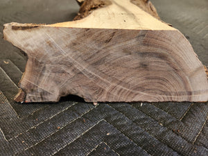 Black walnut slab