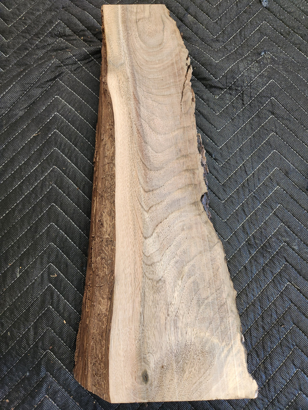 Black walnut slab