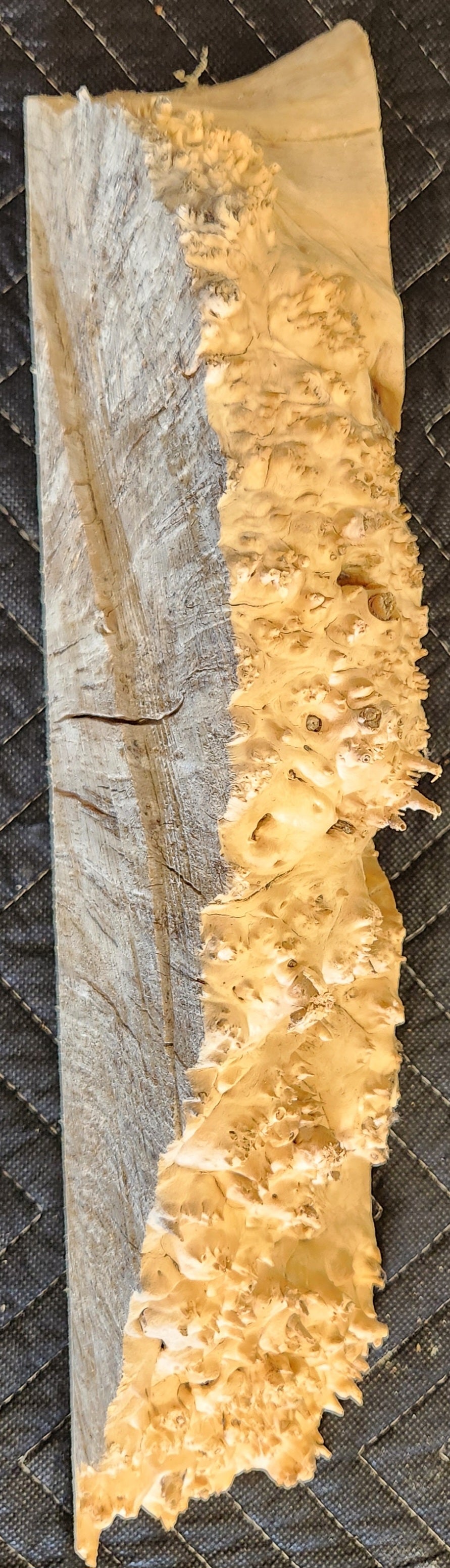 Box elder burl cap