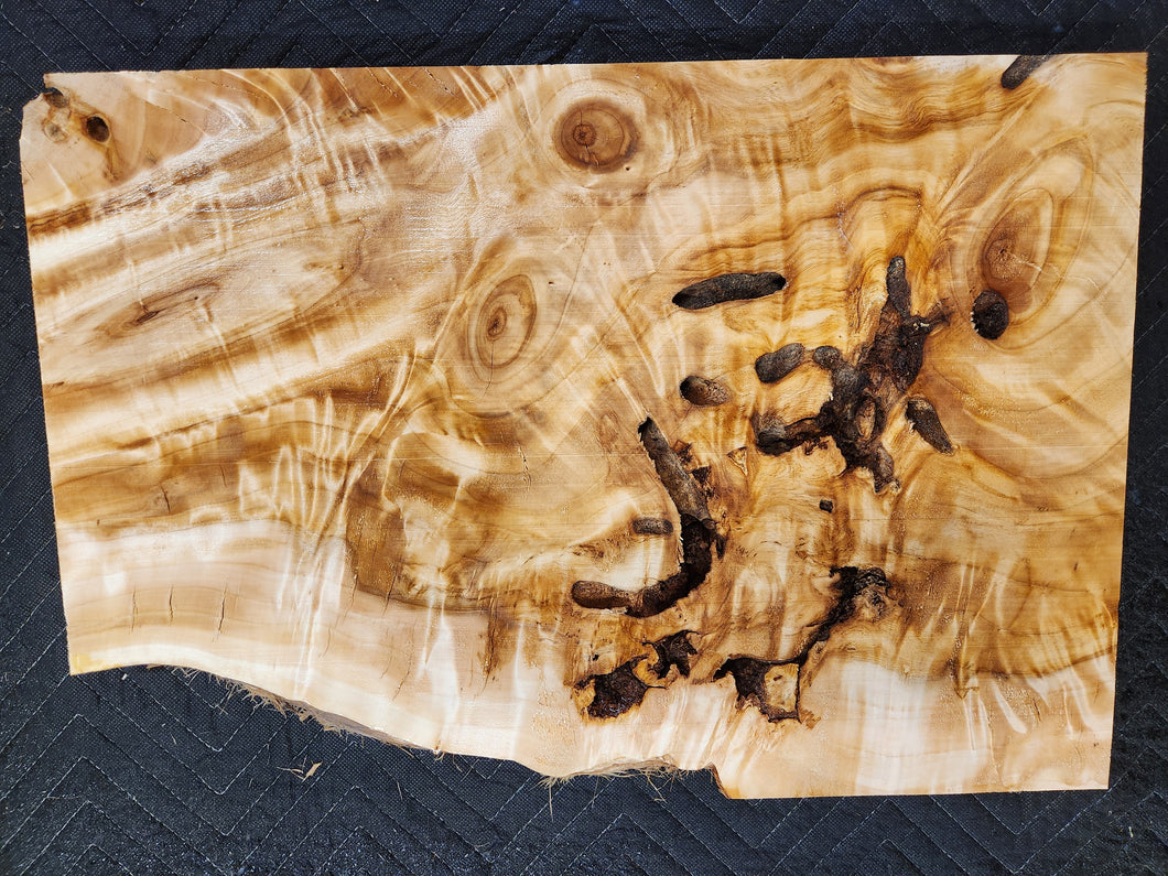 Cottonwood slab