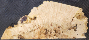 Box elder burl slab