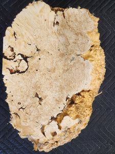 Box elder burl slab