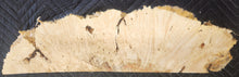 Box elder burl slab