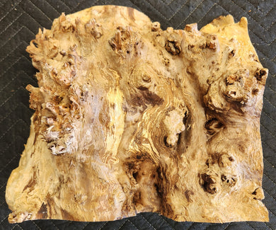 Poplar burl cap