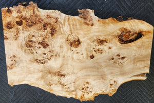 Poplar burl slab