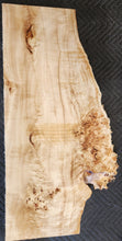 Poplar burl slab