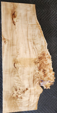 Poplar burl slab