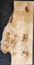 Poplar burl slab