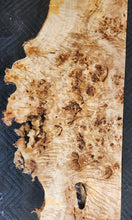 Poplar burl slab