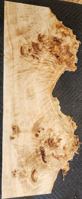 Poplar burl slab