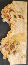 Poplar burl slab