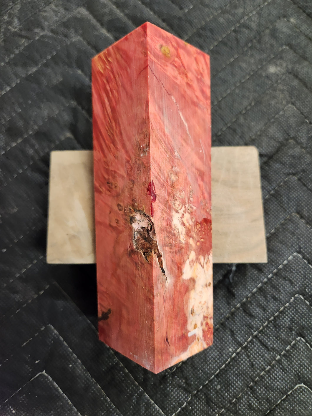 Stabilized box elder burl