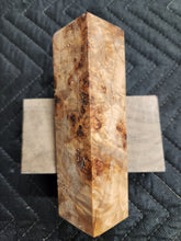 Stabilized Poplar burl