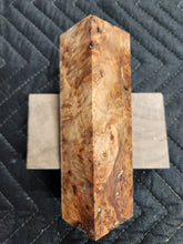 Stabilized Poplar burl