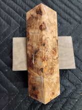 Stabilized Poplar burl