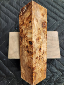 Stabilized Poplar burl