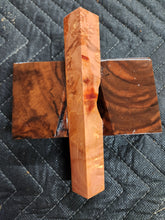 Casting Box Elder Burl