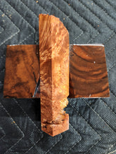 Casting Box Elder Burl