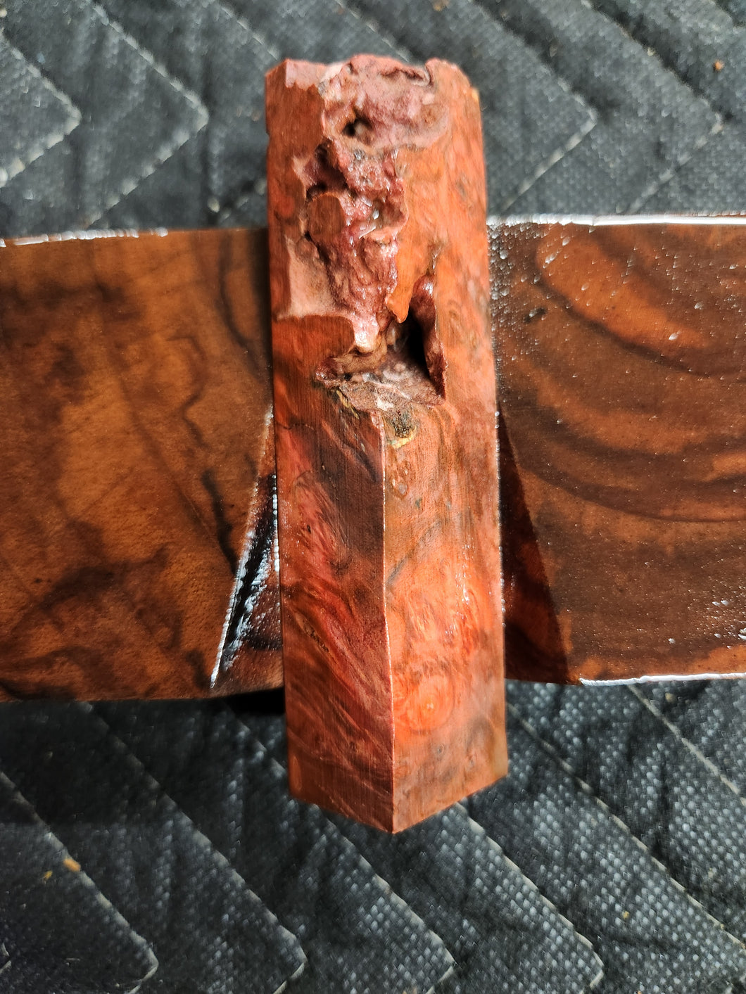 Casting box elder