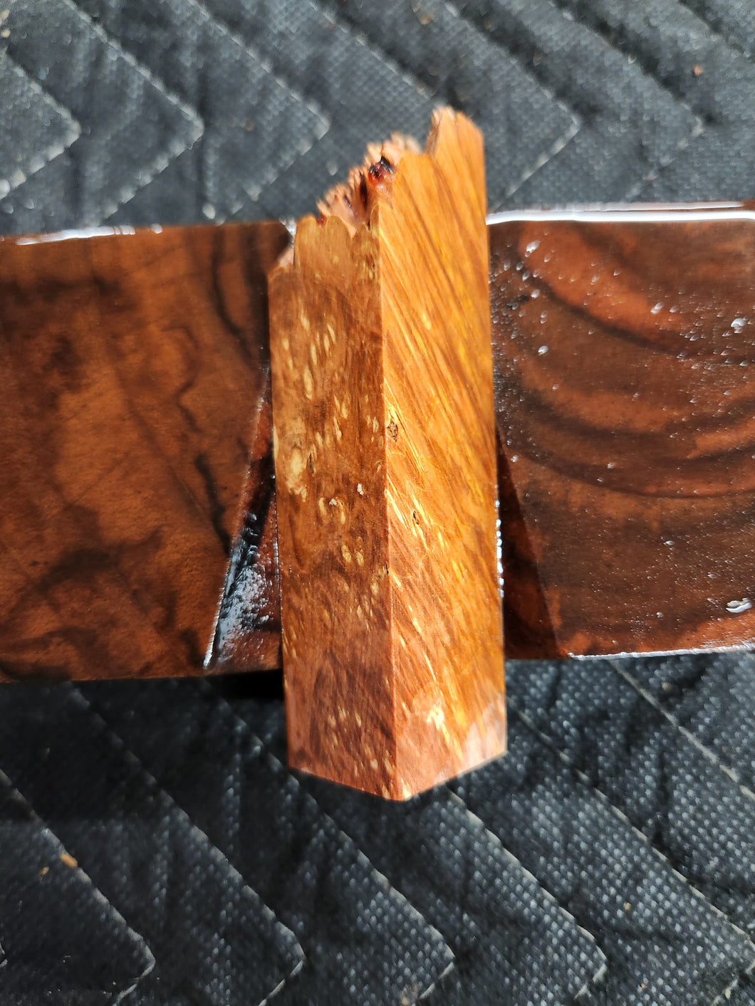 Casting box elder