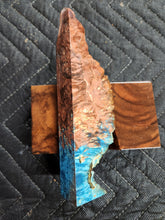 Casting box elder