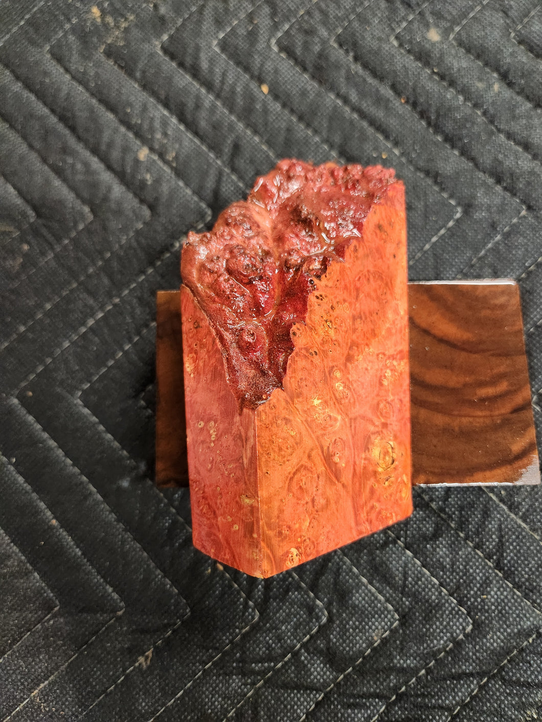 Casting box elder