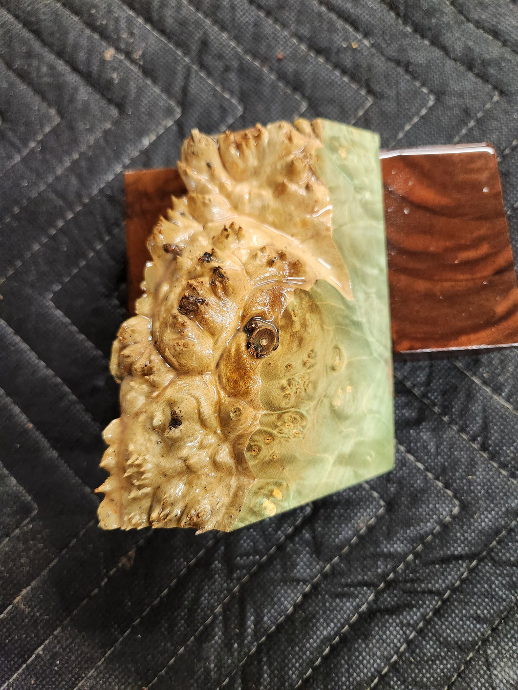 Casting box elder