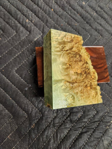 Casting box elder